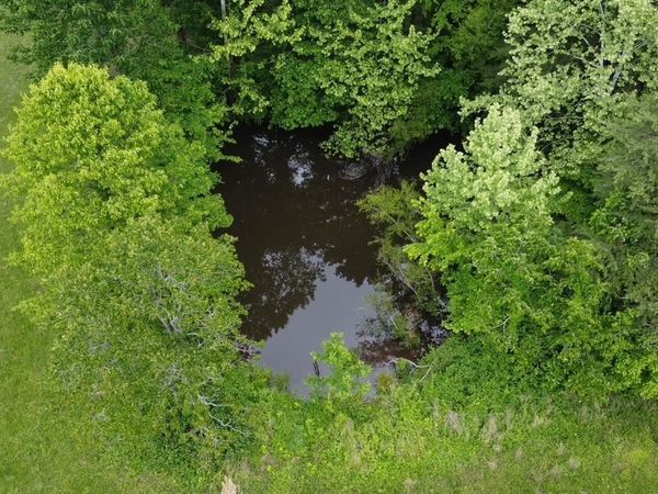 94 Acres Towery Cemetery Road, Princeton, KY 42445