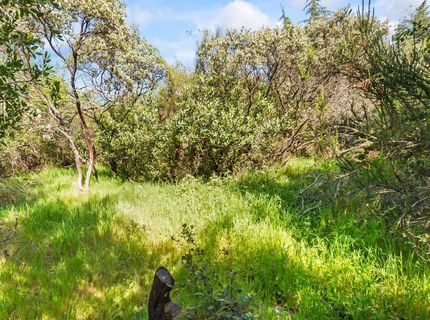 2801 Osborne Rd, Cameron Park, CA 95682 Photo