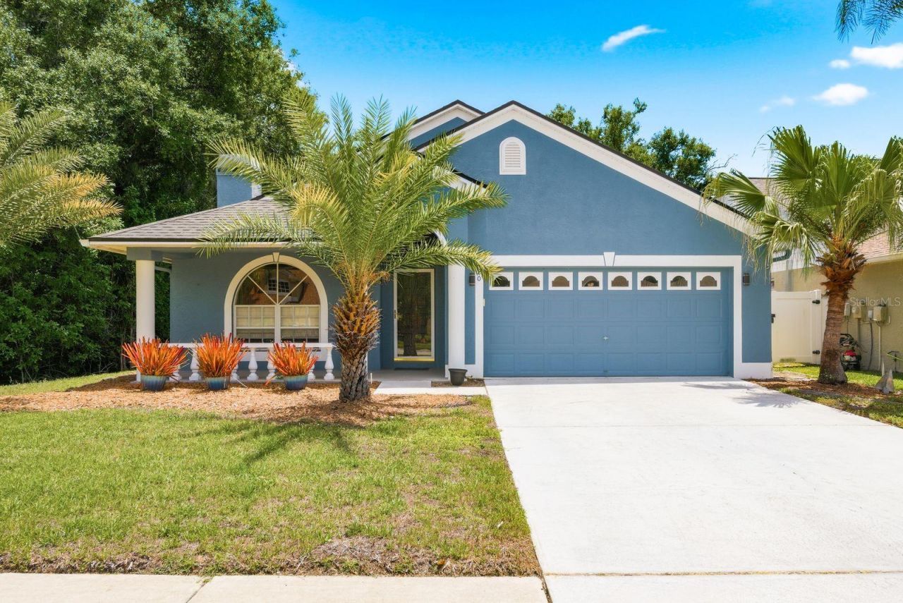 420 Cypress View Drive, Oldsmar, FL 34677 Main Photo