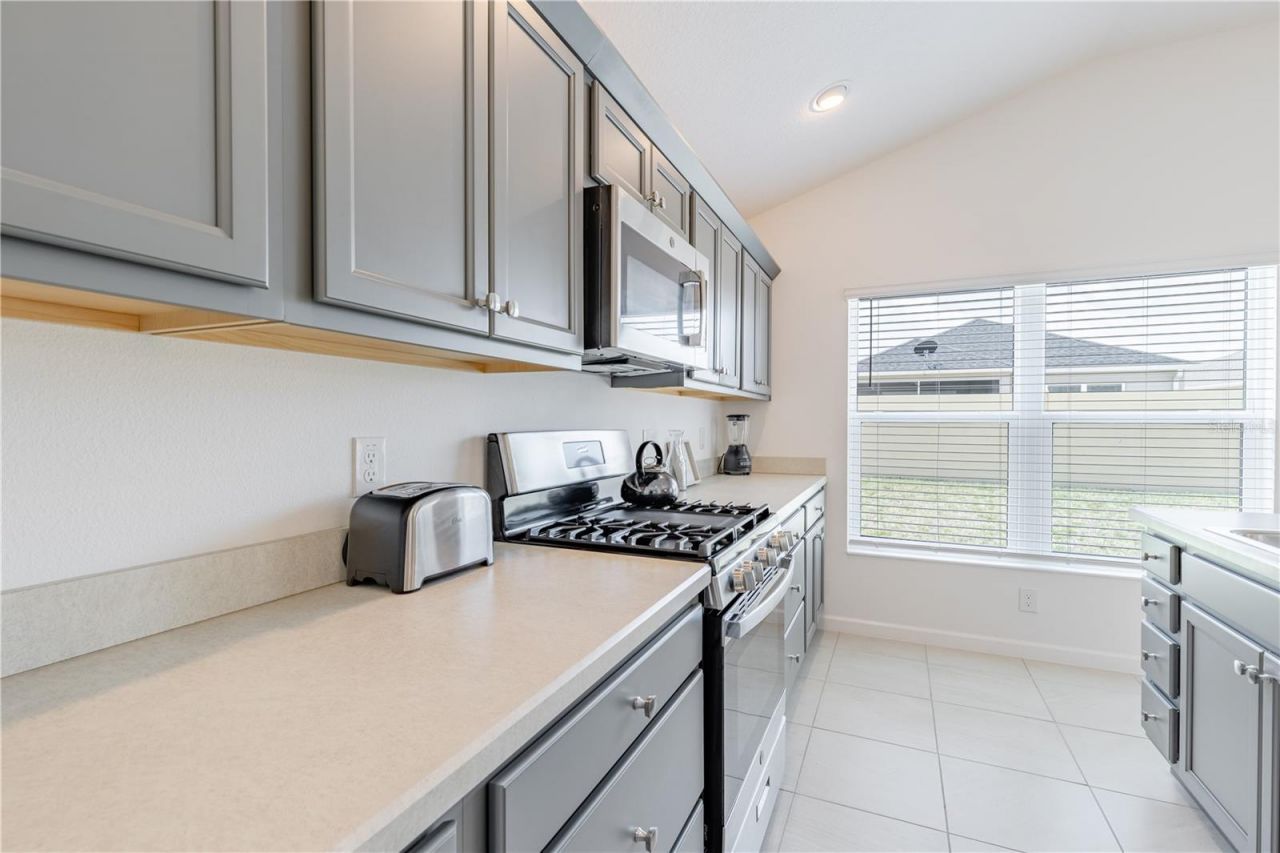 805 Hubbard Loop , The Villages, FL 32163 Photo