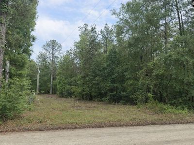 500 Bowman Avenue , Elgin, SC 29045