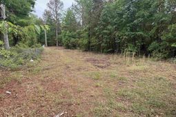 500 Bowman Avenue  photo 4