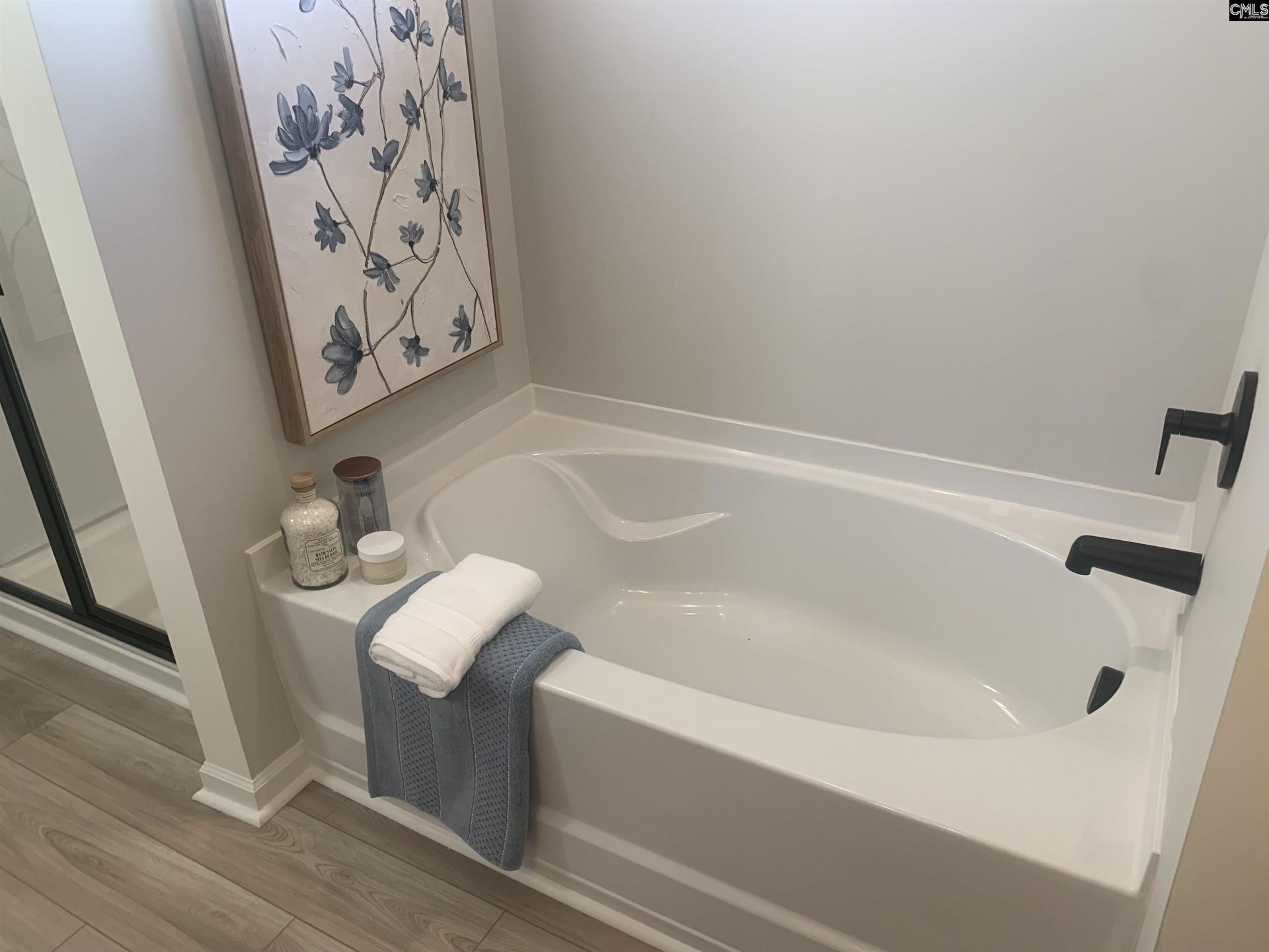 161 Dew Blossom Drive Photo 16