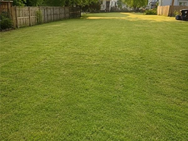 2040 W 83rd Street , Cleveland, OH 44102