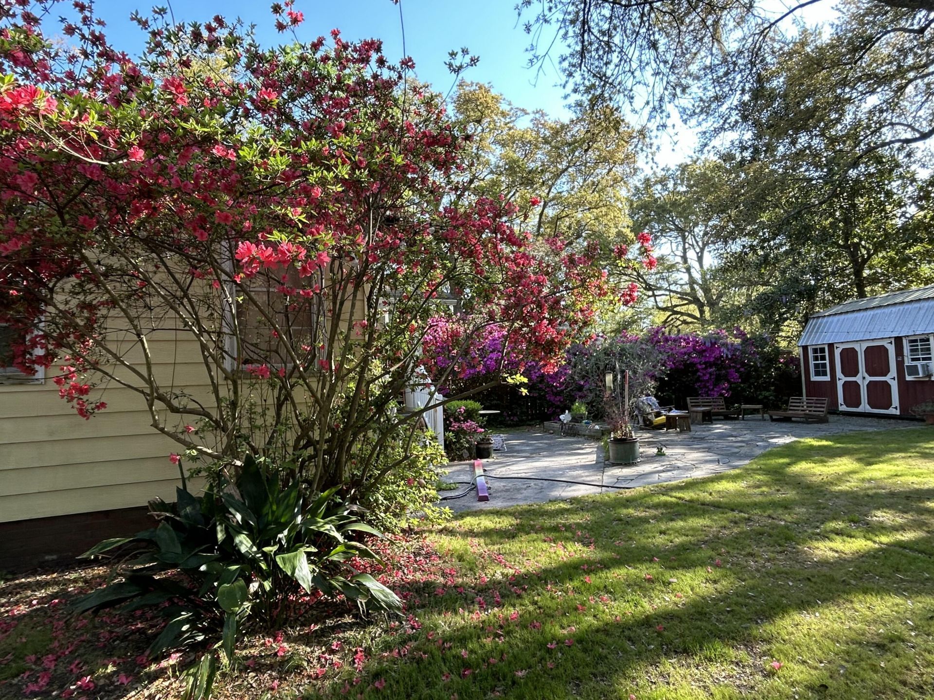 1235 Ashley Hall Road Photo 41