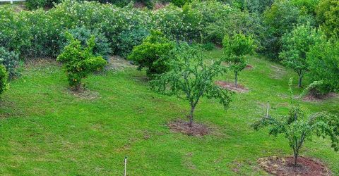 7357 Ridge Rd, Newcastle, CA 95658 Photo