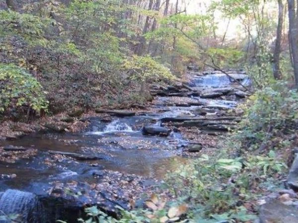 232 Andes Ridge, Ellijay, GA 30540