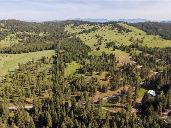 TBD E Belmont Rd, Mica, WA 99023