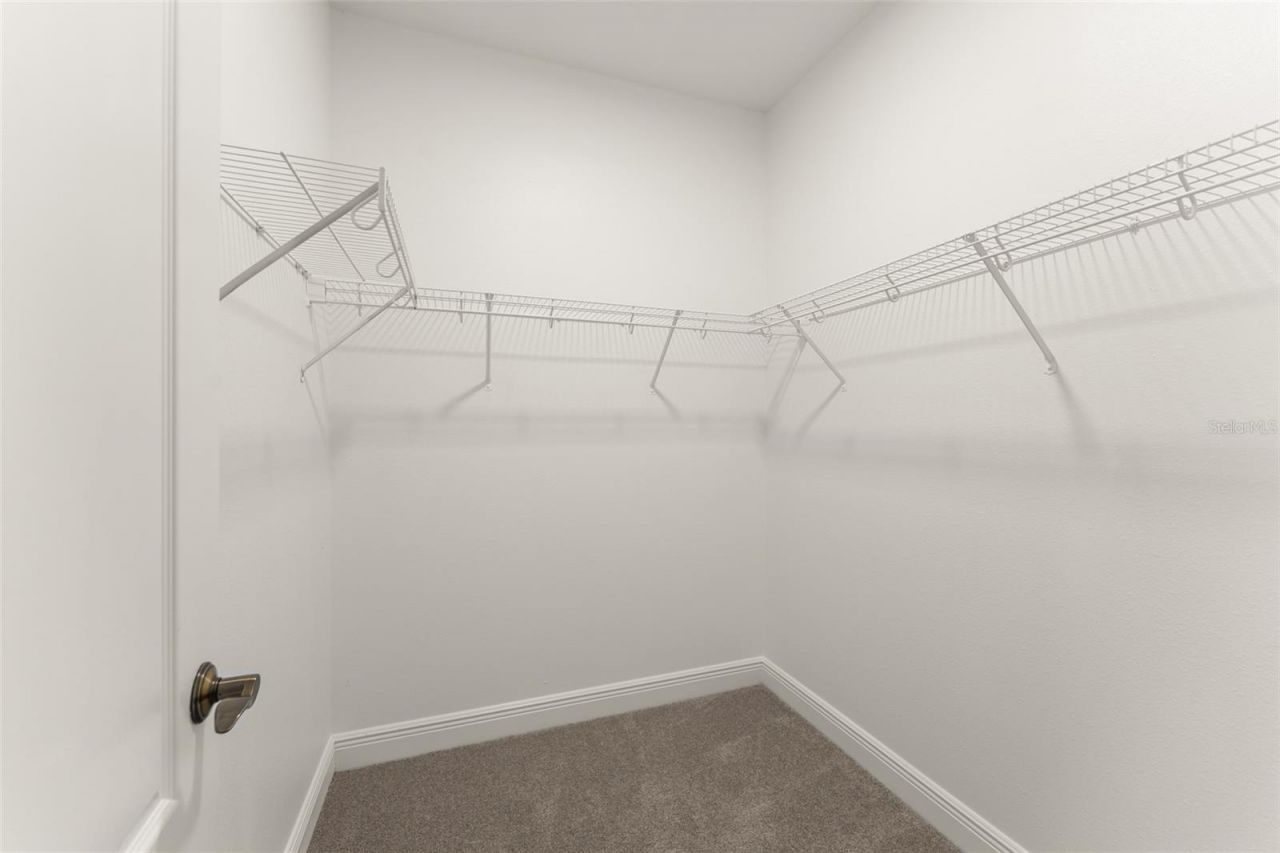 13544 Riggs Way , Windermere, FL 34786 Photo