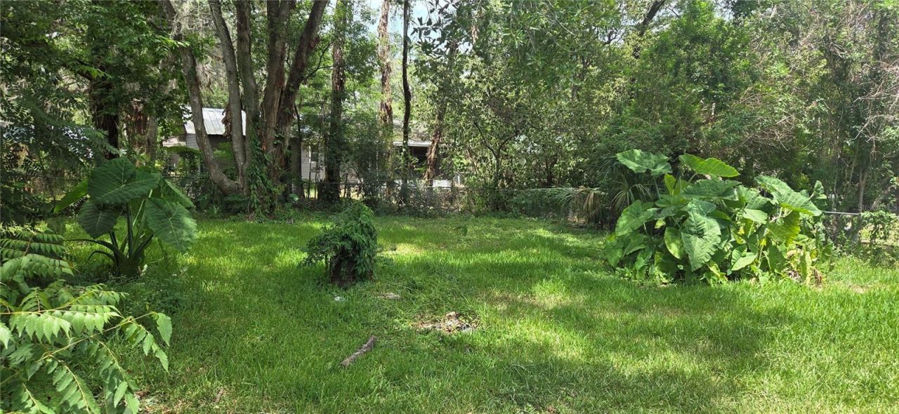 20055 Ruth Street, Brooksville, FL 34601 Photo