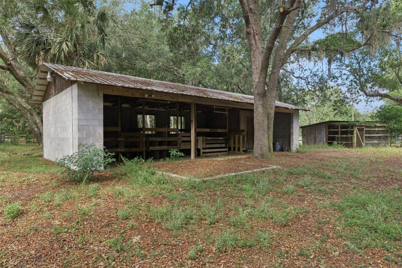1142 Buckles Road , Pierson, FL 32180 Photo