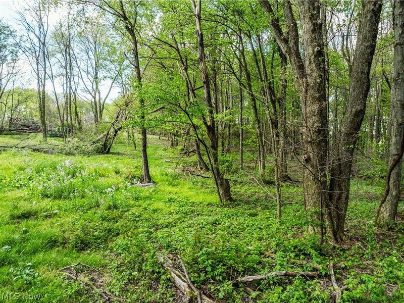 8480 Possum Hollow Road NW, Dundee, OH 44624 Photo 2