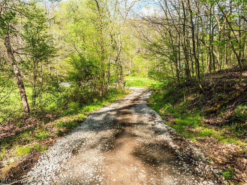 8480 Possum Hollow Road NW, Dundee, OH 44624 Photo 6