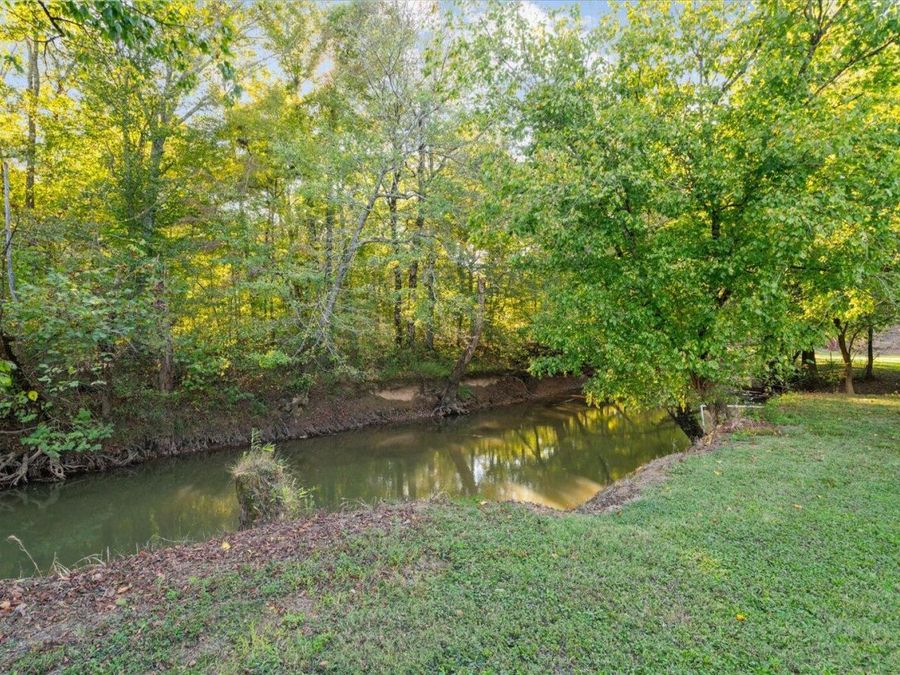 Property Image 91