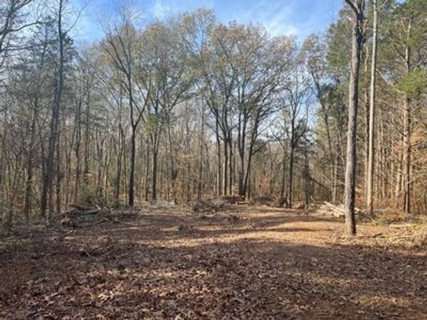21 BAYVIEW DR, Bumpus Mills, TN 37028