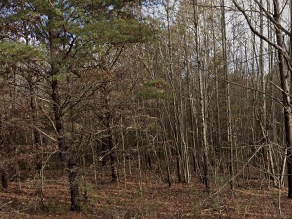 420 Sandusky Rd, Phil Campbell, AL 35581