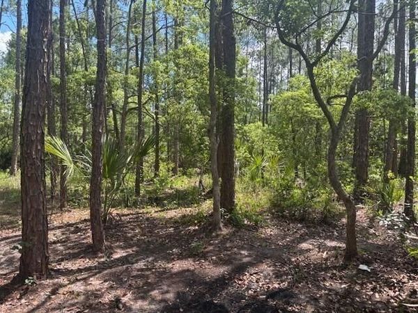 0 Dahlia Rd Road, Deland, FL 32724