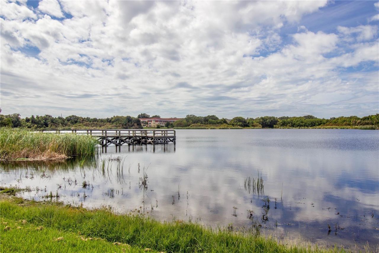 2391 Sumatran Way , Unit 17, Clearwater, FL 33763 Photo