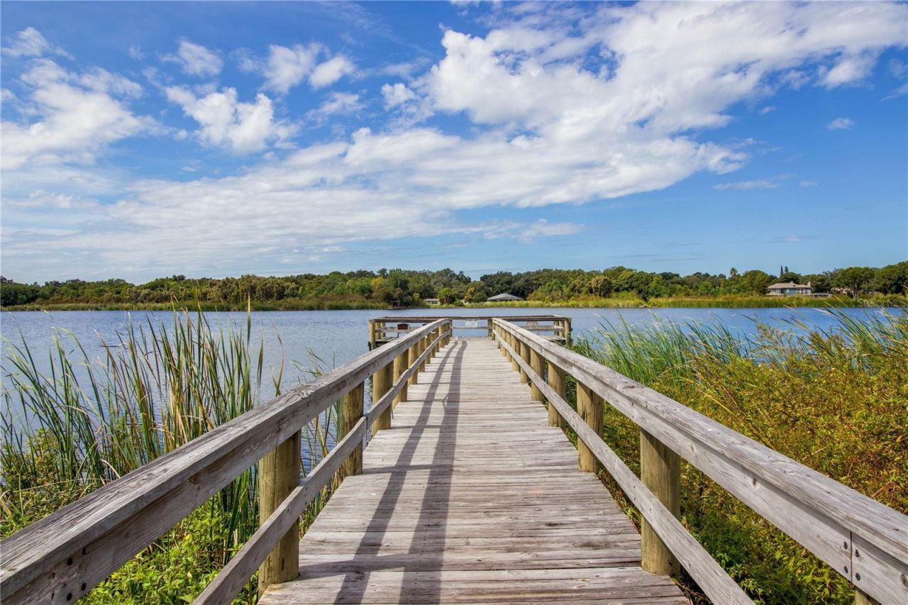 2391 Sumatran Way , Unit 17, Clearwater, FL 33763 Photo