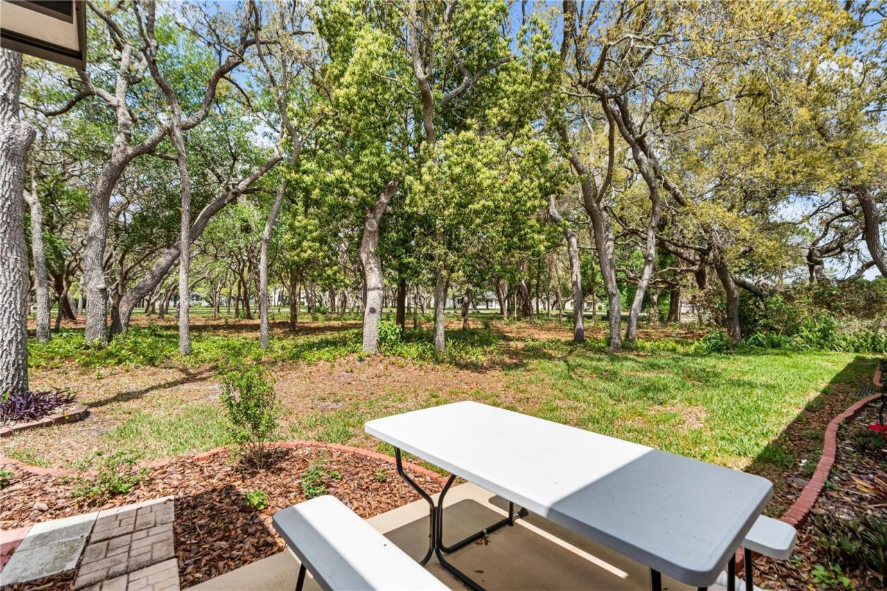 409 Candlestone Court , Spring Hill, FL 34609 Photo