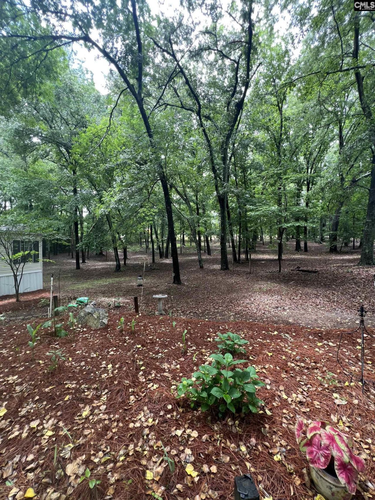 930 Peach Festival Road  Photo 34