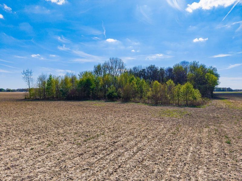 0 Fields Road, Richwood, OH 43344 Photo 10