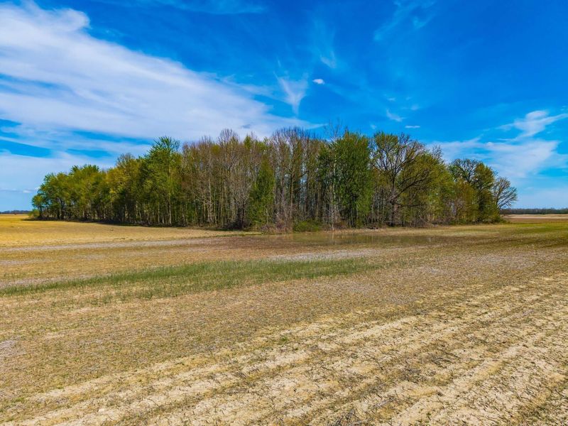 0 Fields Road, Richwood, OH 43344 Photo 11