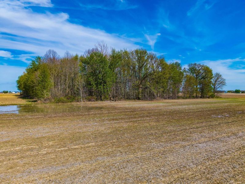 0 Fields Road, Richwood, OH 43344 Photo 12