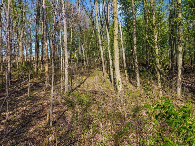 0 Fields Road, Richwood, OH 43344 Photo 13