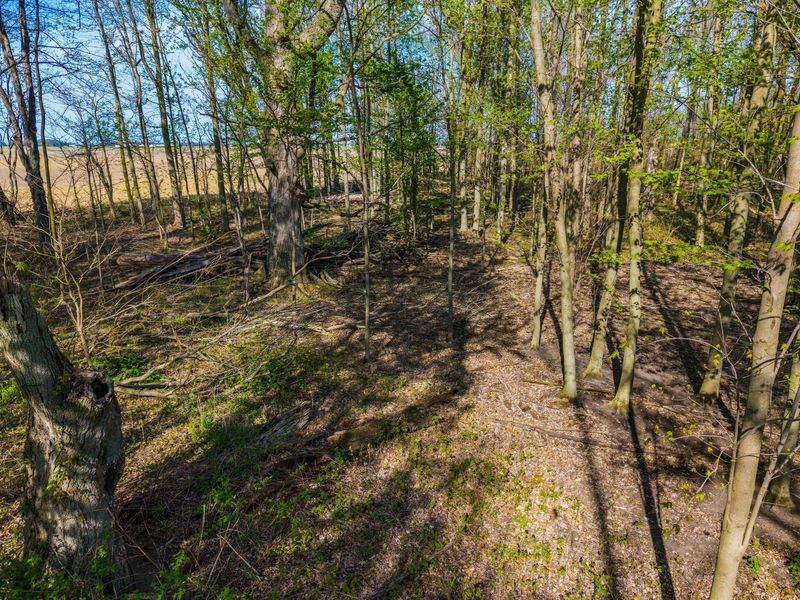 0 Fields Road, Richwood, OH 43344 Photo 16