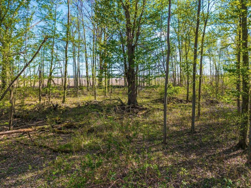 0 Fields Road, Richwood, OH 43344 Photo 17