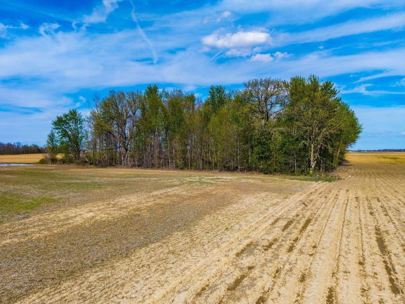 0 Fields Road, Richwood, OH 43344 Photo 7