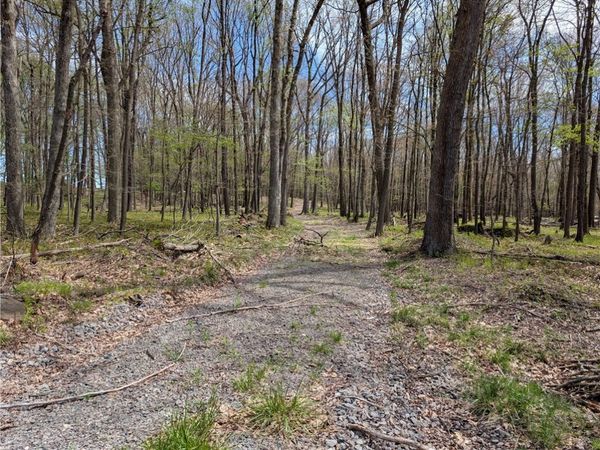 435 Daubenspeck Rd , Parker, PA 16049