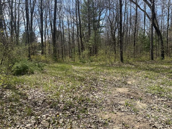 00 S Shepperd Road, Branch, MI 49402