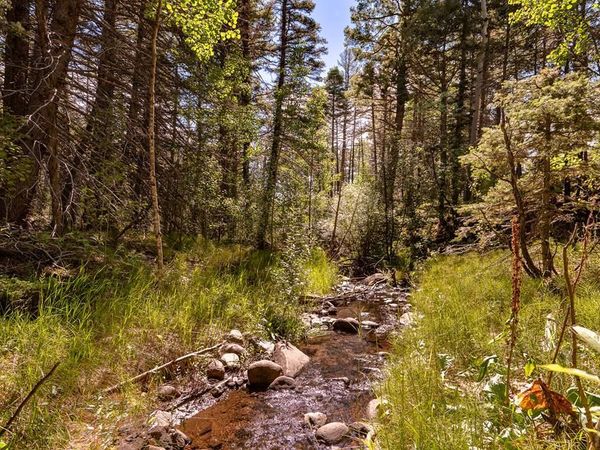 County Rd 46, Aguilar, CO 81020