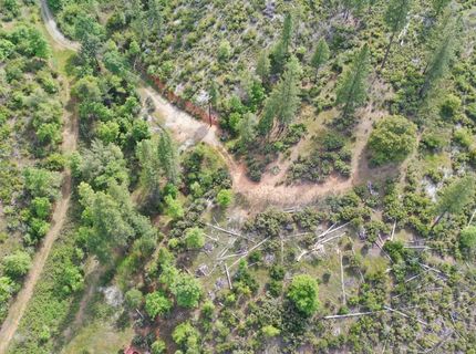 Fricot City Rd, Sheep Ranch, CA 95246 Photo