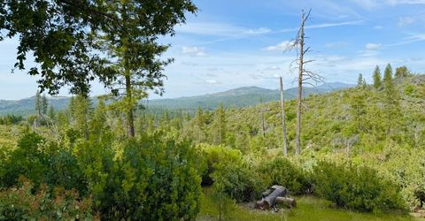 Fricot City Rd, Sheep Ranch, CA 95246 Photo