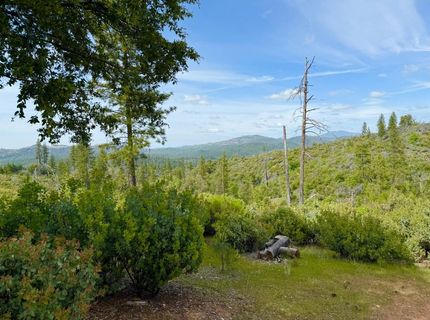 Fricot City Rd, Sheep Ranch, CA 95246 Photo