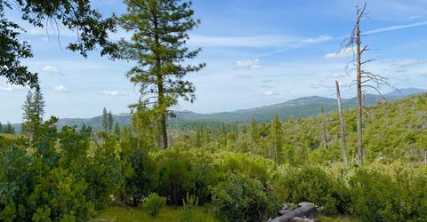 Fricot City Rd, Sheep Ranch, CA 95246 Photo