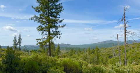 Fricot City Rd, Sheep Ranch, CA 95246 Photo
