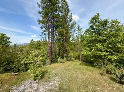 Fricot City Rd, Sheep Ranch, CA 95246 Photo