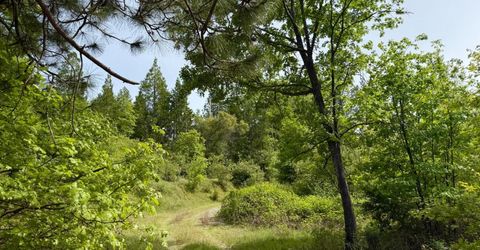 Fricot City Rd, Sheep Ranch, CA 95246 Photo