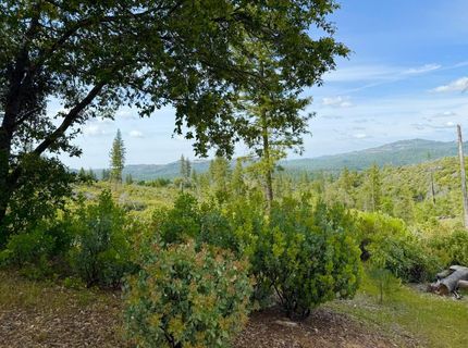 Fricot City Rd, Sheep Ranch, CA 95246 Photo