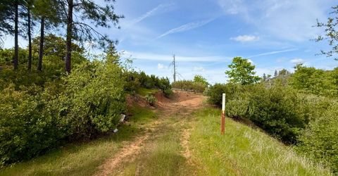 Fricot City Rd, Sheep Ranch, CA 95246 Photo