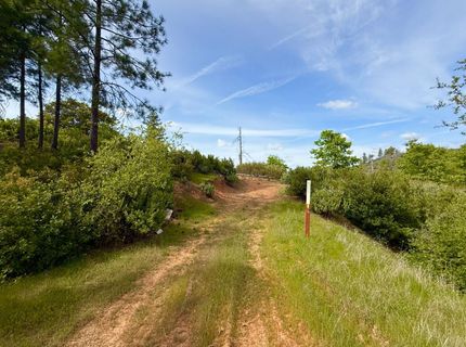 Fricot City Rd, Sheep Ranch, CA 95246 Photo