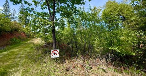 Fricot City Rd, Sheep Ranch, CA 95246 Photo