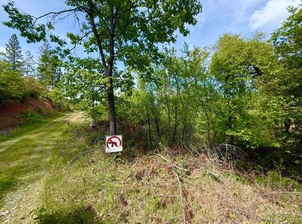 Fricot City Rd, Sheep Ranch, CA 95246 Photo