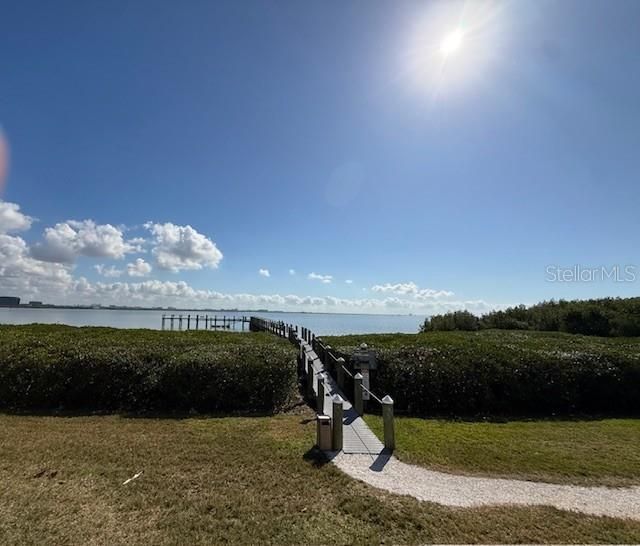 4301 Bay Club Circle, Unit 4301, Tampa, FL 33607 Photo