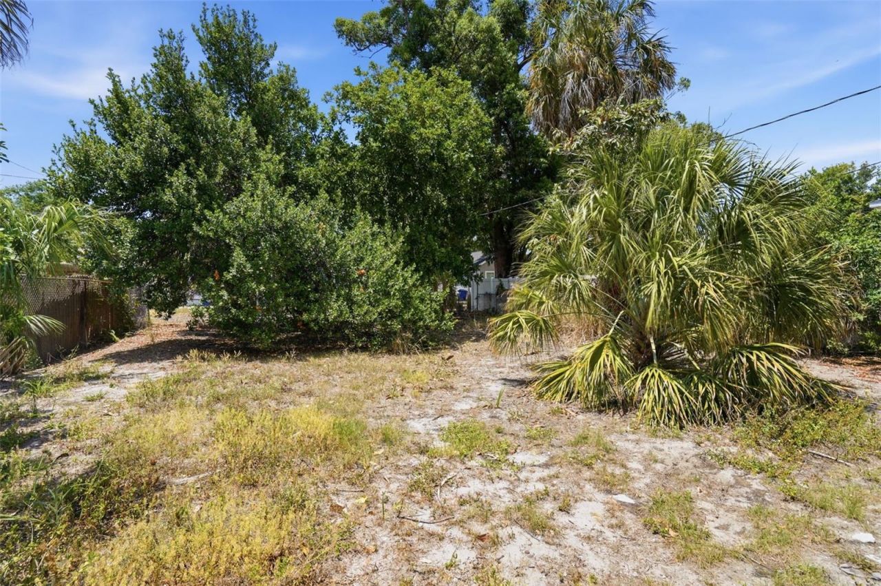 1909 19th Street S, Saint Petersburg, FL 33712 Photo
