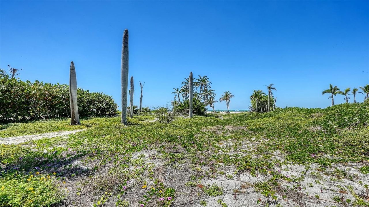 6441 Gulfside Road , Longboat Key, FL 34228 Photo